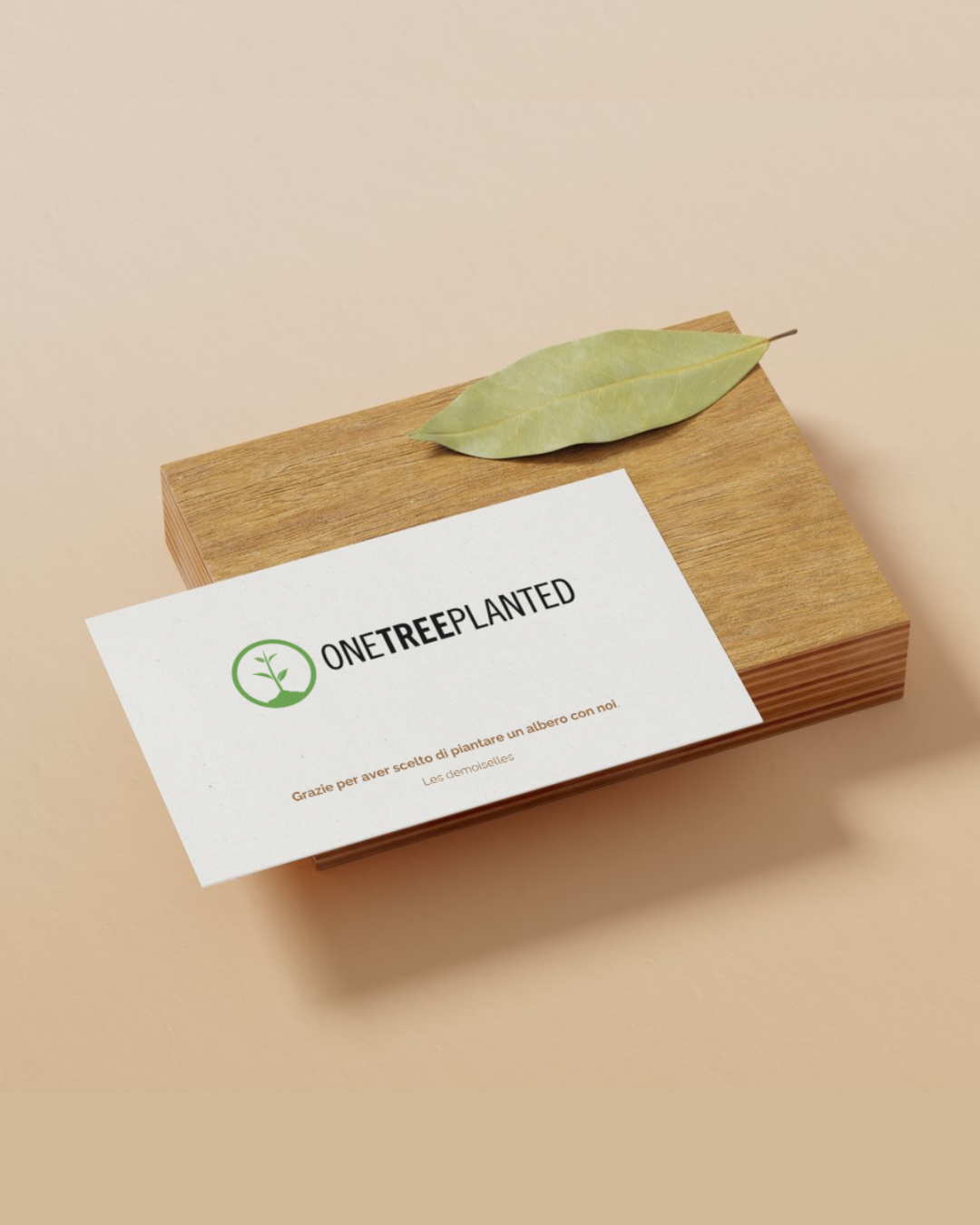 _PLANT YOUR TREE_